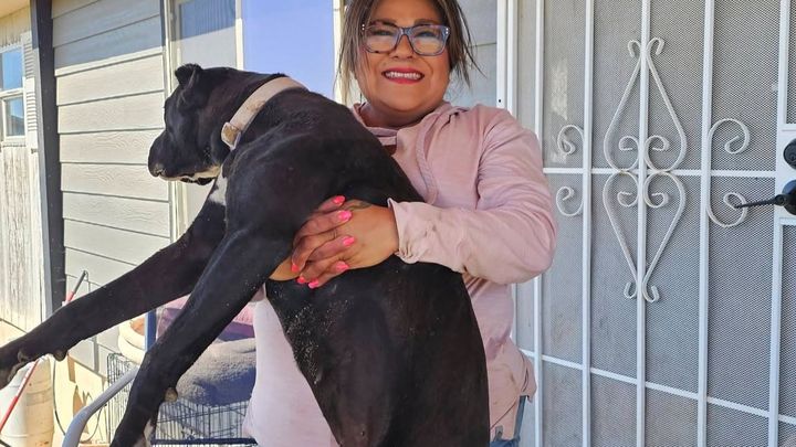 Support for Victim of DWI-Pedestrian Crash while on dog walk campaign photo, 1 of 11