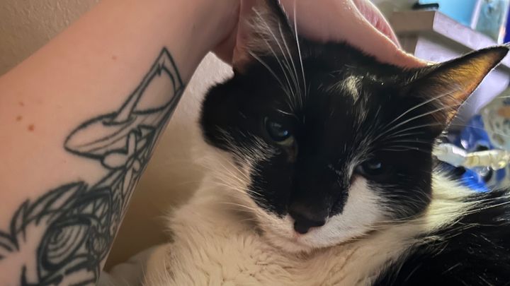 Help Arson Keep Fighting for Deku campaign photo, 1 of 7