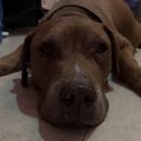 Profile photo of RenaeRocket Bretherton