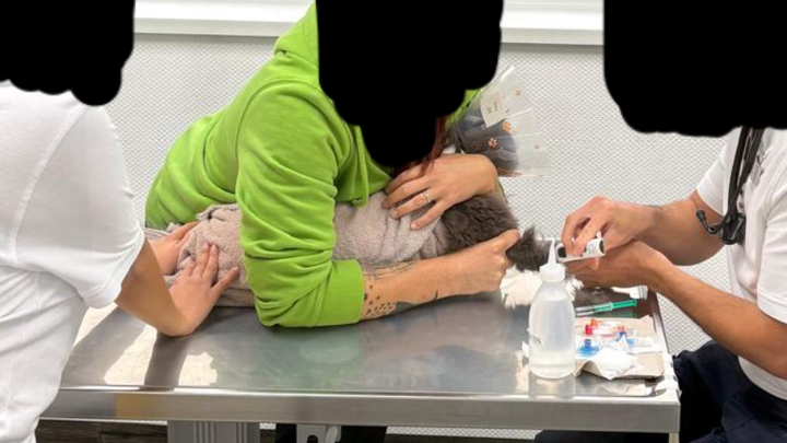 Foto principal de la recaudación de fondos
