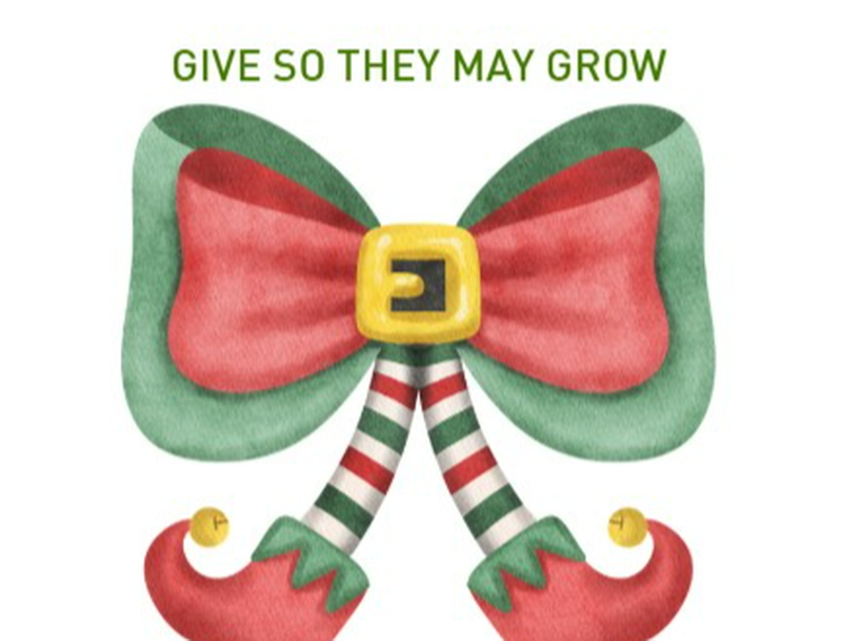Fundraiser’s main image