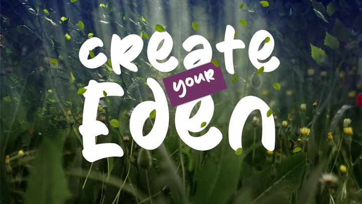 Donate to Launch Create Your Eden for Women campaign photo, 1 of 4
