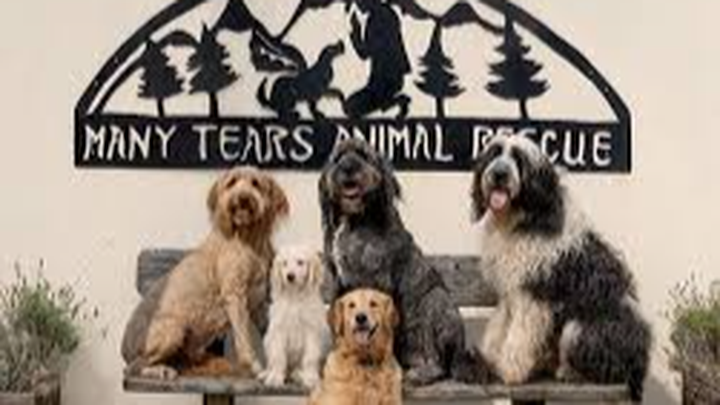 Main fundraiser photo