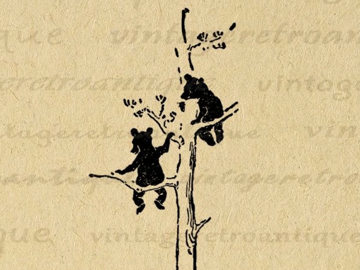 Fundraiser’s main image
