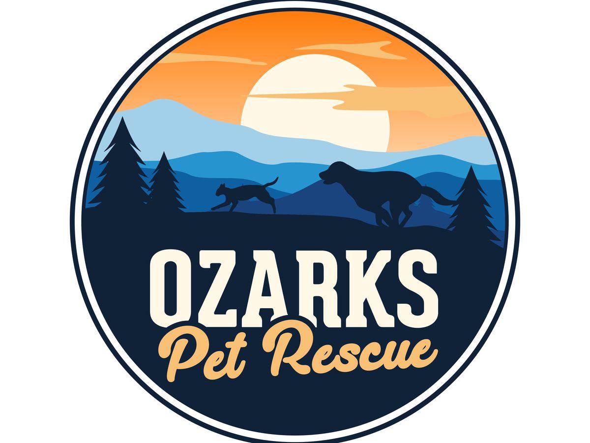 Fundraiser’s main image