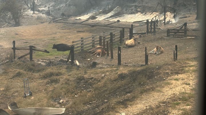 Help Rizn Ranch Rebuild After the Modrite Fire campaign photo, 1 of 8