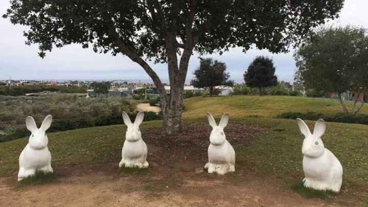 Help Save Civic Center Park campaign photo, 1 of 6