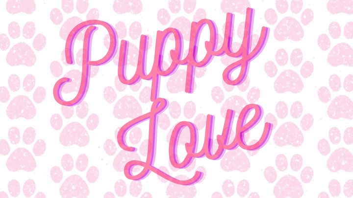 Puppy Love: An Album Release and Animal Rescue Benefit campaign photo, 1 of 3