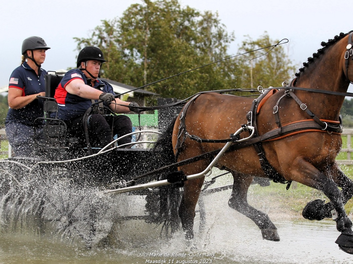 Support Diane's Quest for Gold in Para Driving campaign photo, 1 of 7