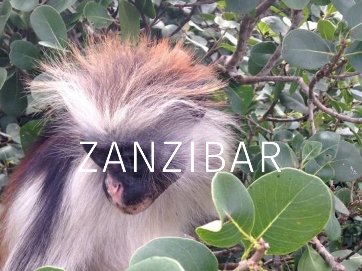 Zanzibar to help families, communities & the environment campaign photo, 1 of 5