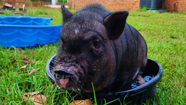 Donate to Ensure Rosita's Healthy Future campaign photo, 1 of 4