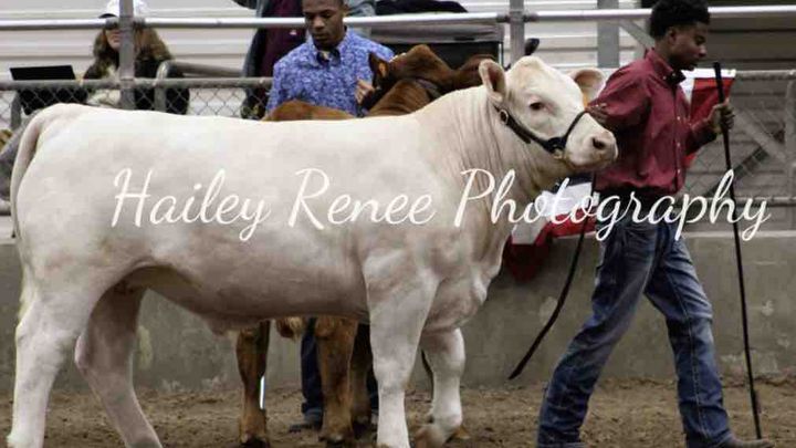 Main fundraiser photo