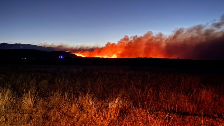 Help Lizza Recover After Colorado Fire campaign photo, 1 of 2