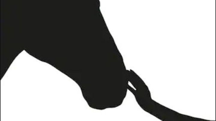 Hoofdafbeelding inzamelingsactie