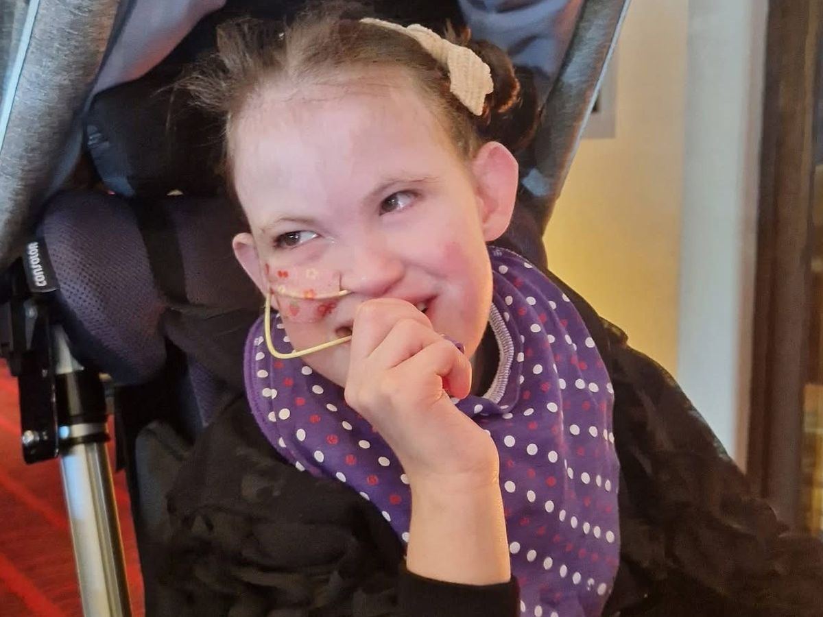 Donate to create a safer, comfortable space for Lexi. campaign photo, 1 of 5