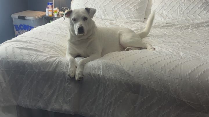 Sage's ACL Surgeries campaign photo, 1 of 7