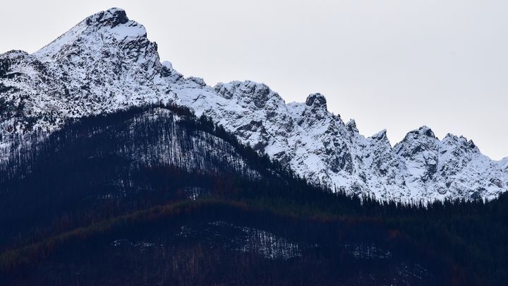 Foto principale della raccolta fondi