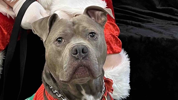 A Christmas Miracle for Brut campaign photo, 1 of 8