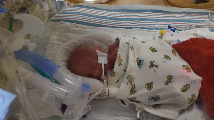 Baby Odin campaign photo, 1 of 5