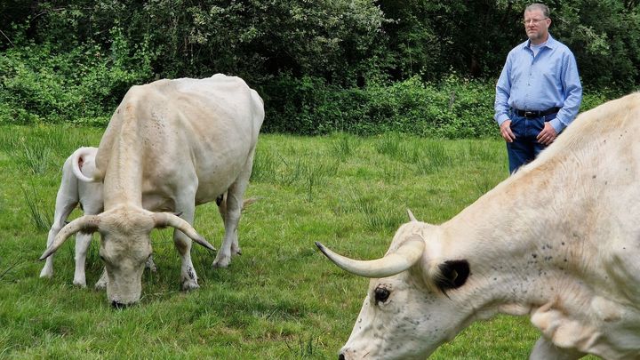 Main fundraiser photo