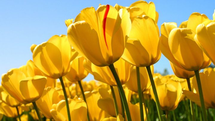 Hauptbild des Spendenaufrufs