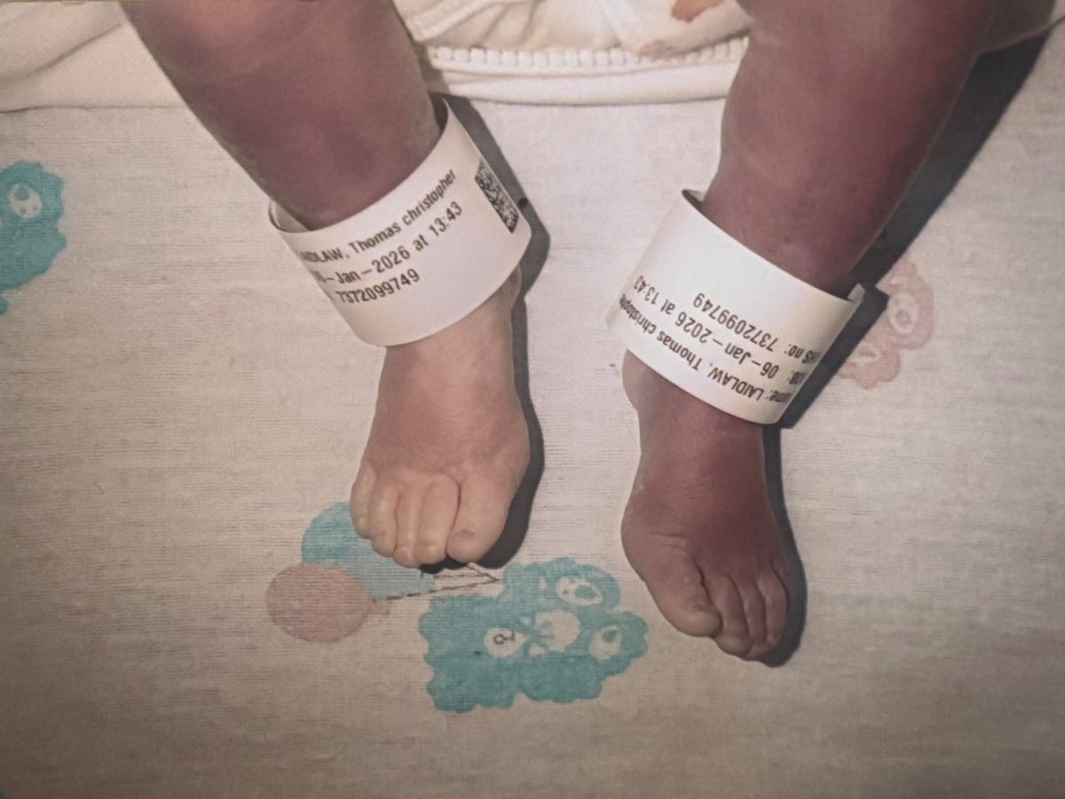 Privacy Pram campaign photo, 1 of 3