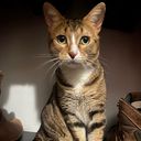 Profile photo of Kelly Denimarck