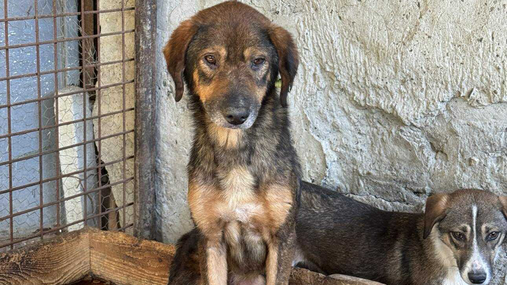 Help this boy to a warm bed for the rest of his life. campaign photo, 1 of 3