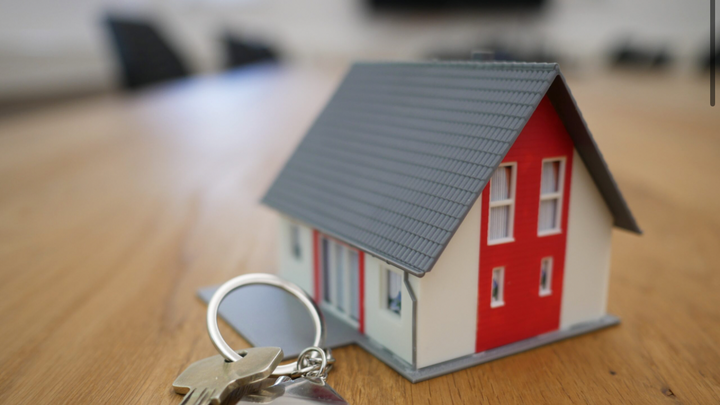 Help raise house deposit campaign photo, 1 of 3
