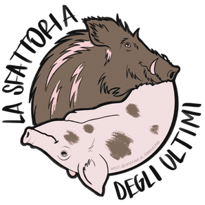 Paola Federica Samaritani