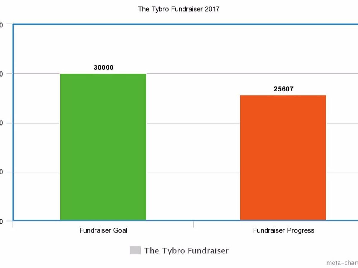 Fundraising Progress Chart