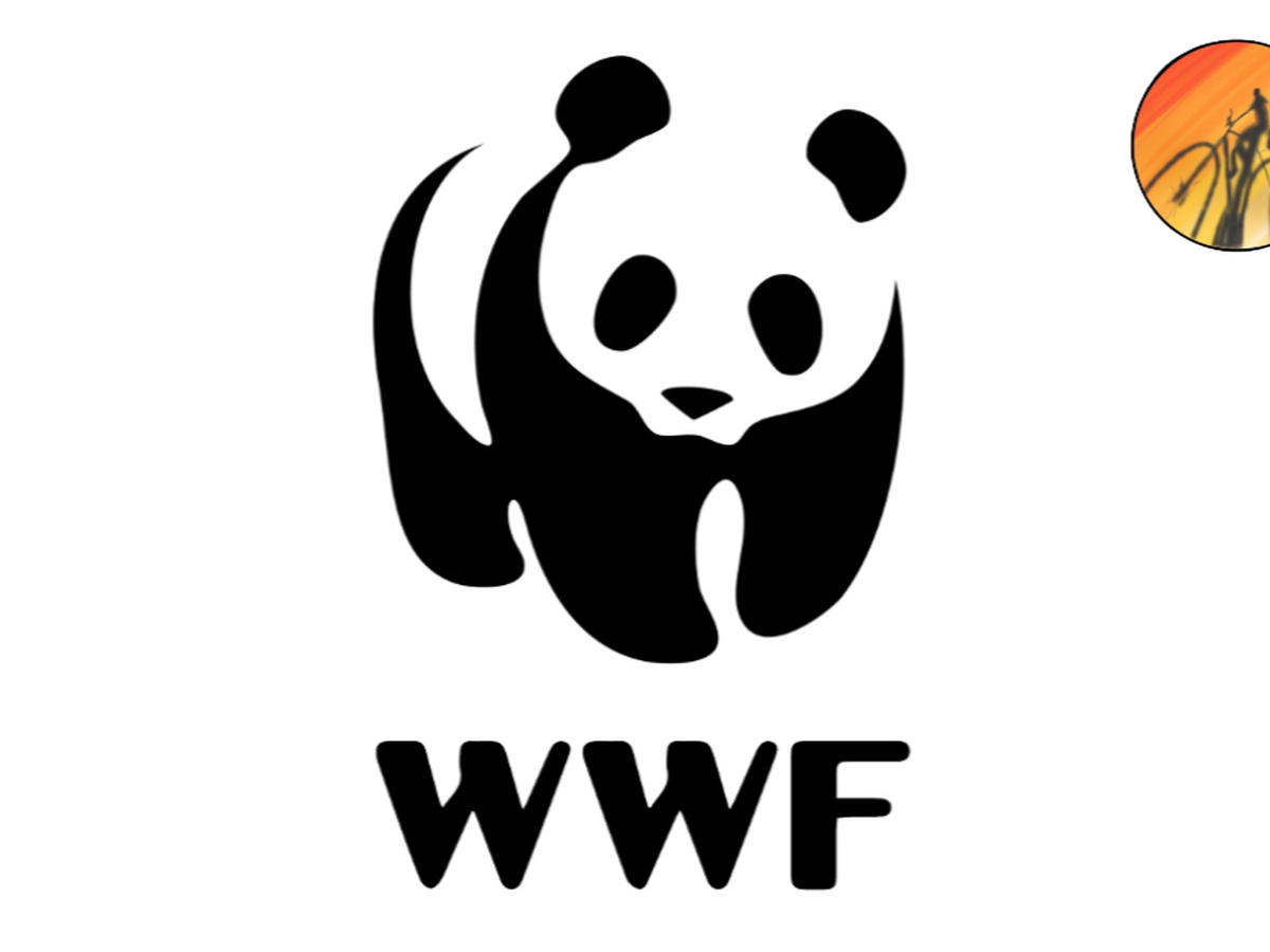 Fundraiser’s main image