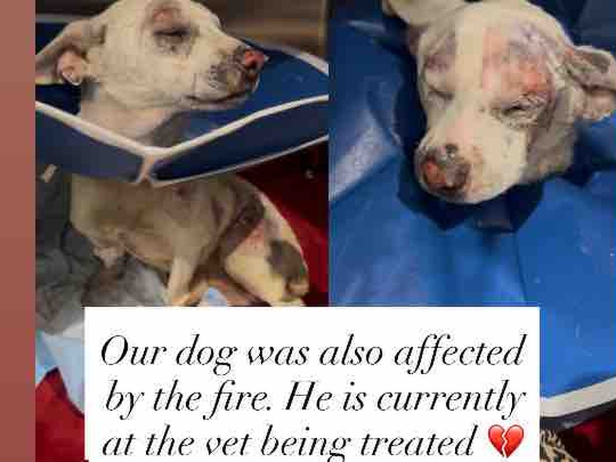 Fundraiser by Hailey Cardenas : Help our family rebuild after house fire