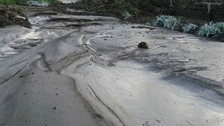 Foto principale della raccolta fondi