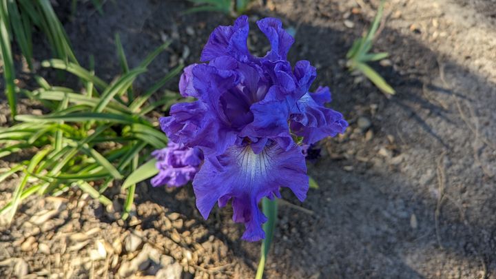 Hauptbild des Spendenaufrufs