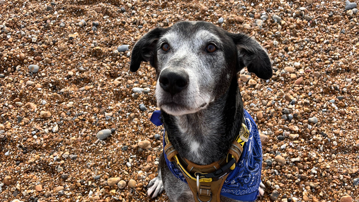 Jones' Life Saving Surgery campaign photo, 1 of 8