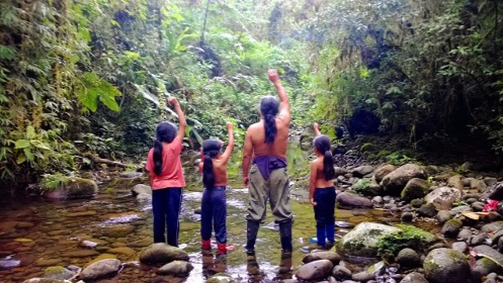 Clean Lands and Waters in the Amazon for a Free Future. campaign photo, 1 of 5