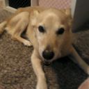 Profile photo of Olive Slushie