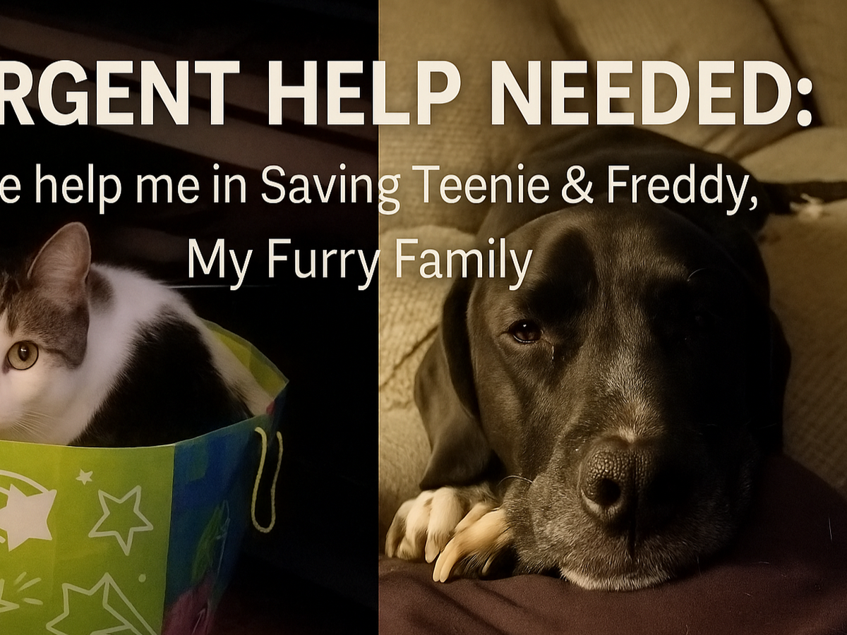 Urgent Help Needed: Please help me in Saving Teenie & Freddy campaign photo, 1 of 7