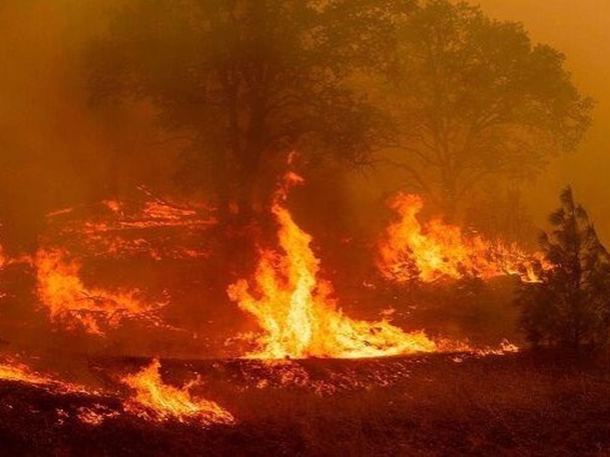 Fundraiser for Amanda Hill by Emmy Piper : Neundorf Wildfire Fund