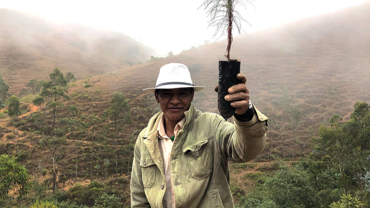 Restoring Native Forests in the Peruvian Andes campaign photo, 1 of 3