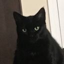 Profile photo of Jamie-Lee Atkinson