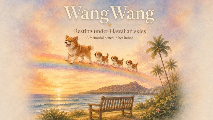 Donate to help build a memorial bench for WangWang campaign photo, 1 of 6