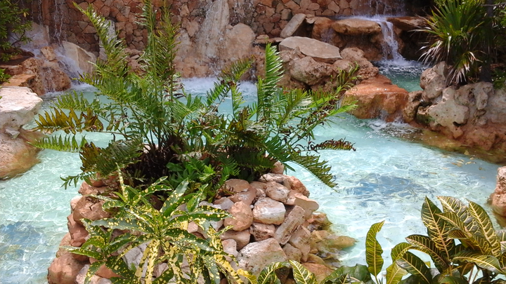 Hauptbild des Spendenaufrufs