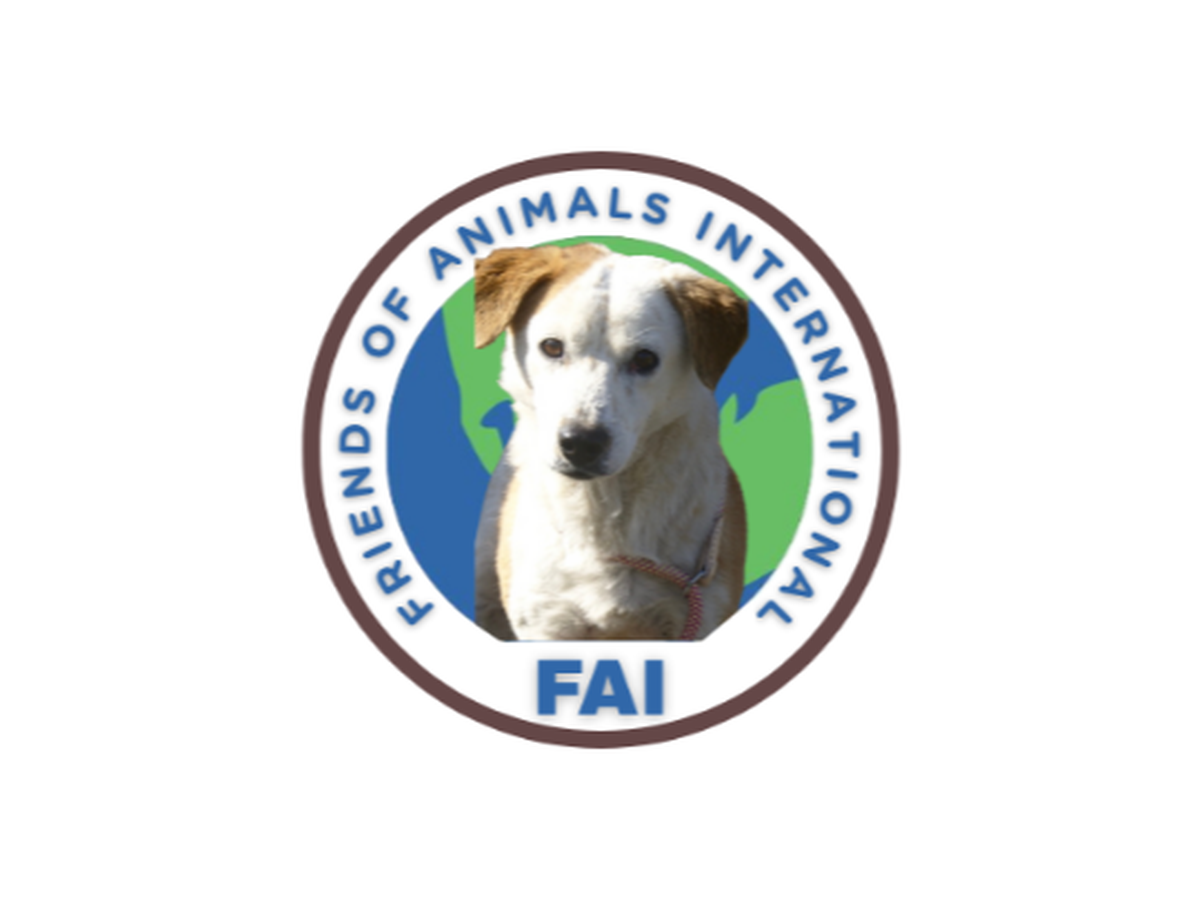 Fundraiser’s main image