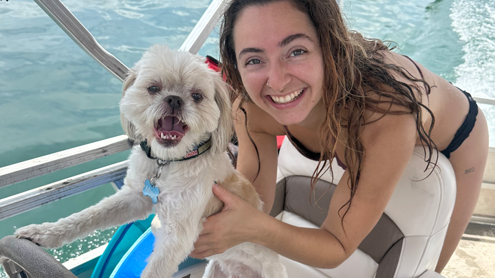 Miso the Shih Tzu reuniting with his best friend campaign photo, 1 of 8