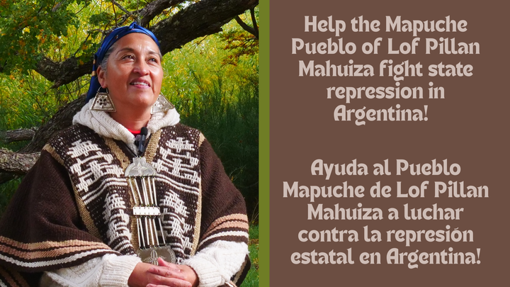 Aid Mapuche Activists Facing State Violence in Patagonia campaign photo, 1 of 4