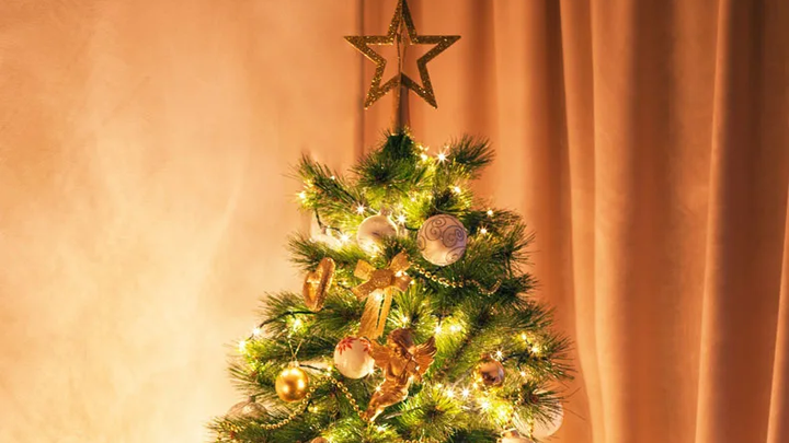 Help Us Spread Christmas Cheer to Residents campaign photo, 1 of 2
