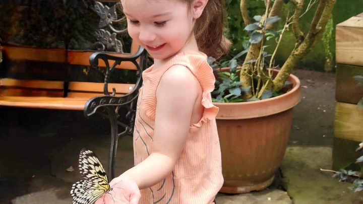 Main fundraiser photo