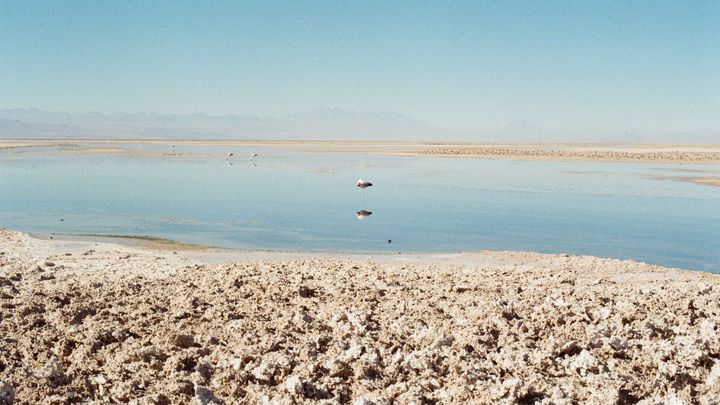Help me get to the Atacama Desert with La Wayaka Current! campaign photo, 1 of 3